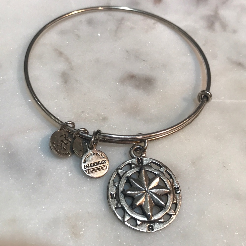 Alex and ani compass